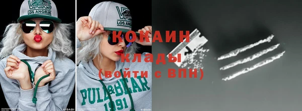 прущие грибы Абаза