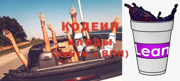 прущие грибы Абаза
