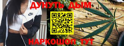 Альфа ПВП Можга
