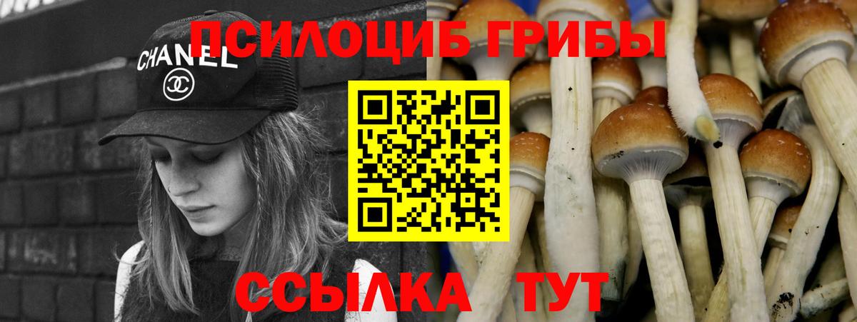 Псилоцибиновые грибы мицелий Черемхово